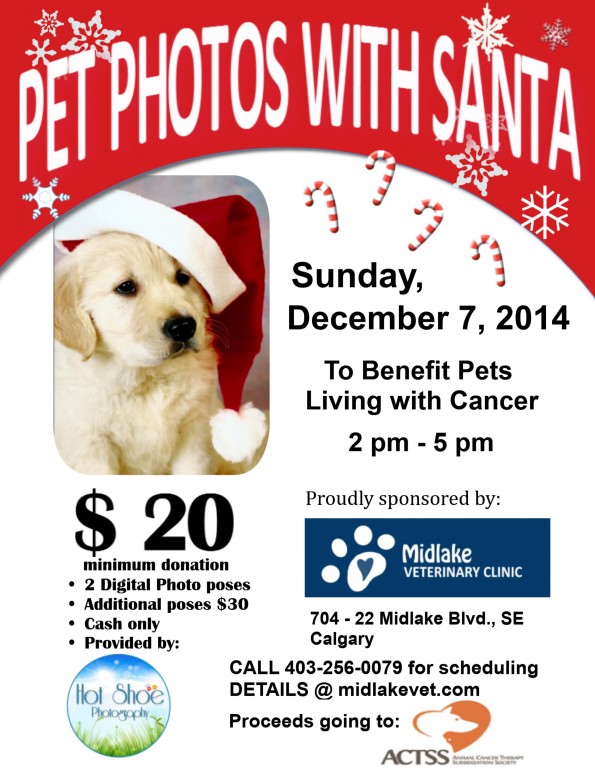 Pet Photos with Santa 2014 Retriever Puppy